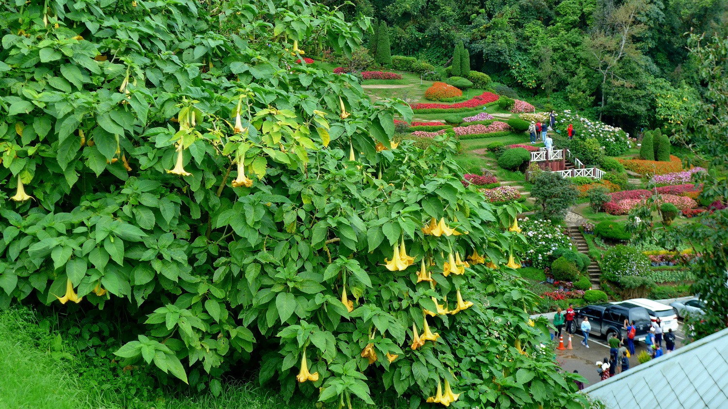 Garden around the two Stupas of Doi Inthanon